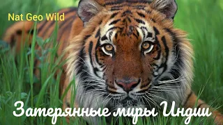 Nat Geo Wild.Затерянные миры Индии.Рай Киплинга.