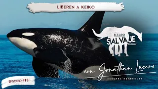 E13: Liberen A Keiko (con Jonathan Lucero) | El Lado Salvaje - Podcast