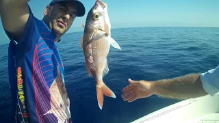 SNAPPER FISHING DAY with FURUNO GP1971F