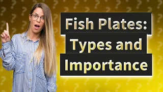 What Are Fish Plates and Their Types in Railway Construction?