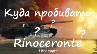 Куда пробивать и как играть на Rinoceronte!