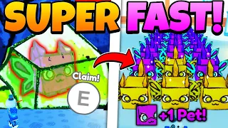 🍀 HOW I Got HUGE DOODLE FAIRY SUPER FAST In Pet Simulator X!