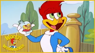 Woody Woodpecker Show | Cyrano De Woody Woodpecker | Full Episode | Cartoons For Children