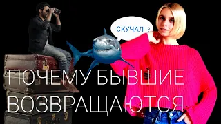 Бывшая пишет, что скучает: что делать? Почему бывшие возвращаются?