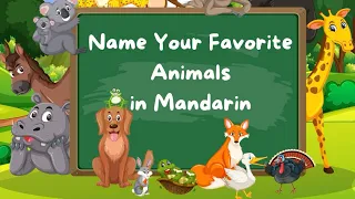 Can You Name Your Favorite Animals in Mandarin?|学中文动物词汇