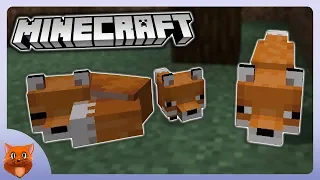 MINECRAFT FOXES!