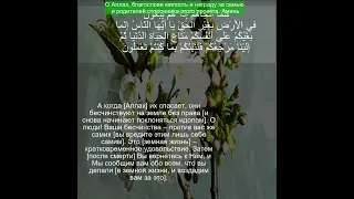 Коран Сура Юнус | 10:23  | Чтение Корана с русским переводом| Quran Translation in Russian