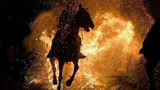 Heißes Ritual: Feuertaufe für Pferde in Spanien | AFP