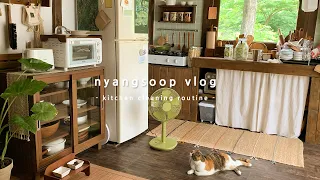 부엌 청소하는 날🍃 아늑한 주방의 구석구석 수납 공간들 정리🌻 | 냥숲 vlog
