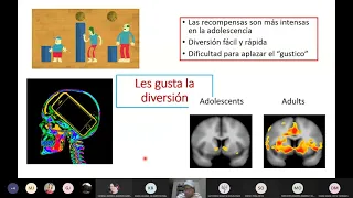 El Cerebro Adolescente