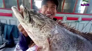 Awesome Longline Net Fishing   Big Catching Net Fish On The Sea #02