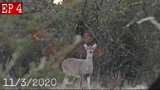 Oklahoma Bow Hunting November 3rd 2020 Signs Of The Rut! Deer Hunting 2020