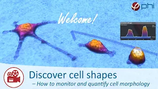 Live Cell Imaging Webinar | How to monitor and quantify cell morphology