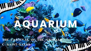 Saint-Saëns - The Carnival of the Animals: Aquarium by Marcin and Yuka Piano Duo