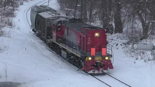 Ж/д Полковая – Псков-2. Грузовые поезда, бульдозер валит деревья, новая Ласточка