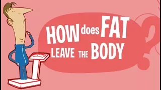 How Does Fat Leave the Body? Where does the fat GO?