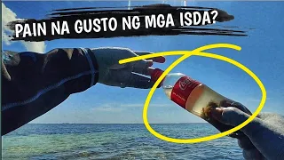 Pain na Gusto ng Mga Isda| Best Bait for Saltwater Fishing | Ultralight fishing