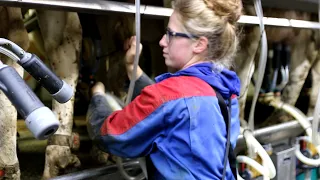 Scherpenzeel Farms D-16 Milking Parlour