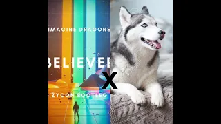 Believer Dogs version|#believer |#imaginedragons|#shorts