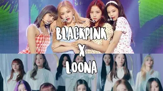 BLACKPINK & LOONA | dont know what to do X butterfly (MASHUP)