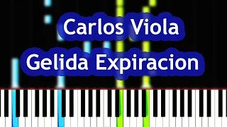 Carlos Viola - Gelida Expiracion (Blasphemous OST) Piano Tutorial