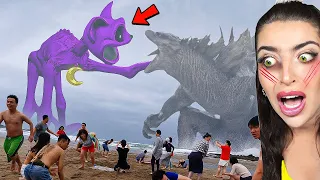 Poppy Playtime Spotted IN REAL LIFE! (CATNAP VS GODZILLA!