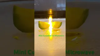 Mini Cucumber vs Microwave: Inspired by  #veritasium &  #nilered