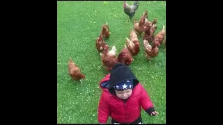 Funny animals attacking little kids 😂/funny videos 2020