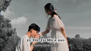 ye Dil to mila hai [ slowed & reverb ] #sonunigam #alkayagnik #lofi #90shits