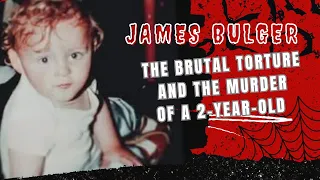 THE JAMES BULGER CASE