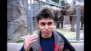 First YouTube Video -- Me at the zoo By Jawed Karim - YouTube Co-Founder.