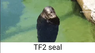 TF2 seal