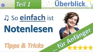 Noten lesen lernen - Lektion 1 | Überblick über das Notensystem