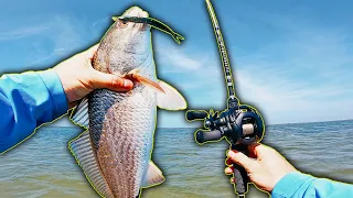 *INSANE* Wade Fishing TONS of Redfish! || Corpus Christi Fishing