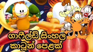 Garfield sinhala cartoon || ගාර්ෆීල්ඩ් සිංහල කාර්ටූන් ||  #sinhalacartoon