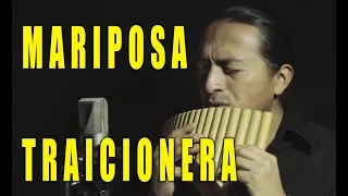 Maná - Mariposa traicionera - Pan Flute