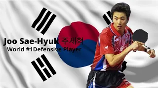 Joo Sae-Hyuk (주세혁 朱世赫) - World's #1 Defensive Table Tennis Player!  Insane Table Tennis Rallies!