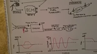 Understanding fuel trim!