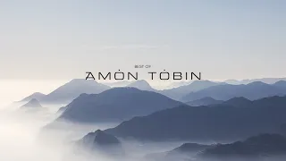 Best of Amon Tobin