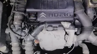 Que no os ENGAÑEN,¿ como saber a simple vista si el motor 1.6 hdi es de 90cv o 110cv?. Es tu dinero.