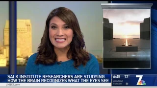 NBC - Salk Institute Researchers Study How the Brain Recognizes What the Eyes See