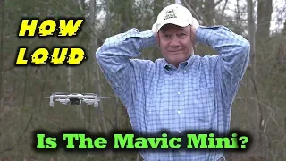 How Loud Is The Mavic Mini?