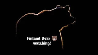 Finland Bear watching!