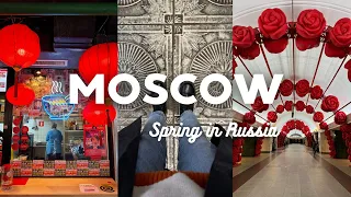 Cozy spring in Moscow. Tasting a vegan burger, walking on Tsvetnoy Boulevard, shopping | 4K