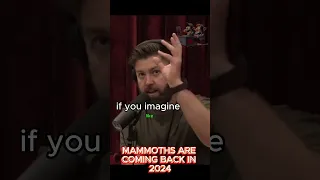 MAMMOTHS ARE COMING BACK IN 2024 #shorts #joerogan #science