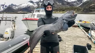 Что Скрывается в Норвежском Море