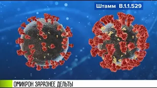 Новый Омикрон-штамм «короны»