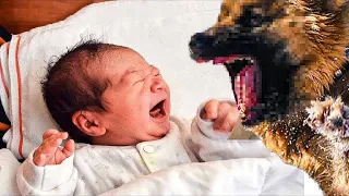 Dog Refuses To Let Baby Sleep Alone,When Parents Find Out the Truth They Call The Police!