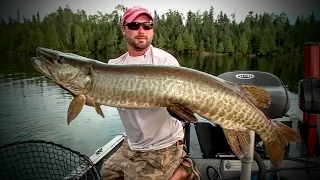 Canadian Musky