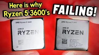 This is Why Ryzen 5 3600s Are FAILING!